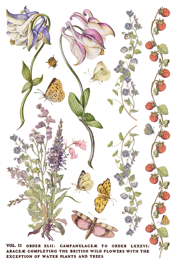 IOD Decor Transfer - Primrose Isle