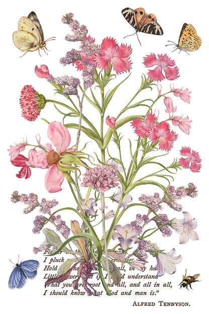 IOD Decor Transfer - Primrose Isle