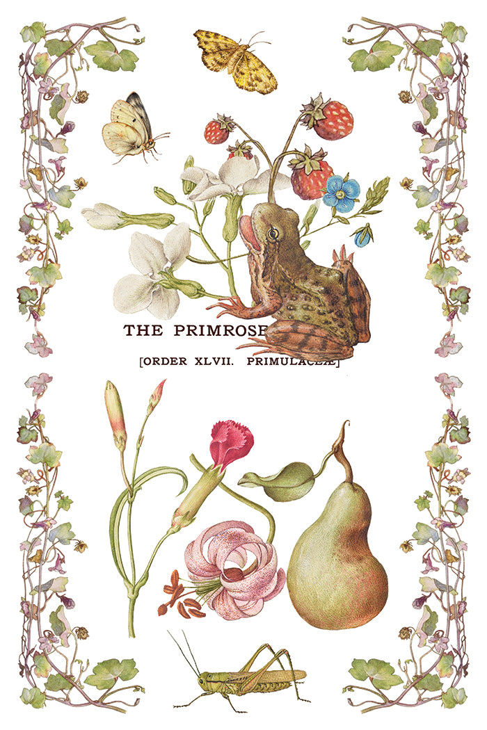 IOD Decor Transfer - Primrose Isle