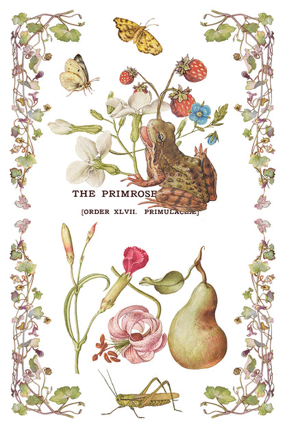 IOD Decor Transfer - Primrose Isle