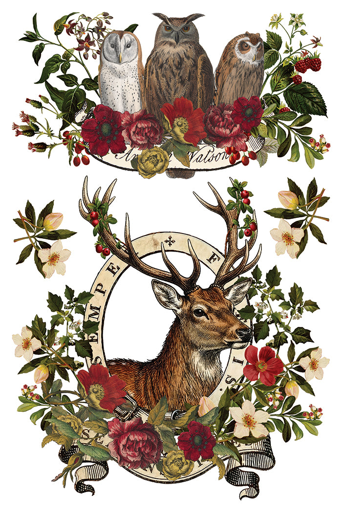 IOD Transfer - Stag Tavern