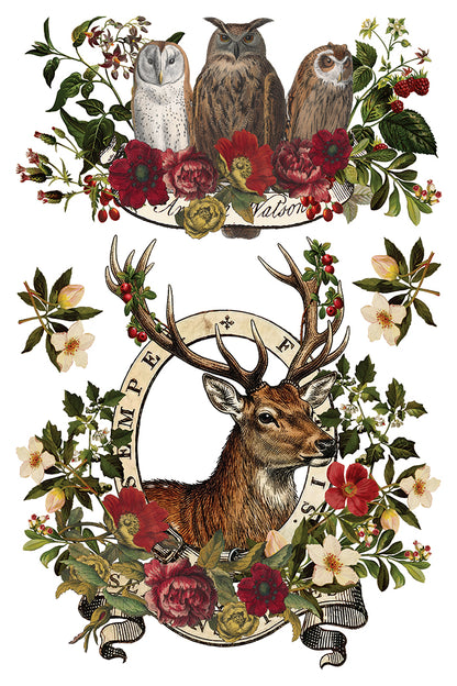 IOD Transfer - Stag Tavern