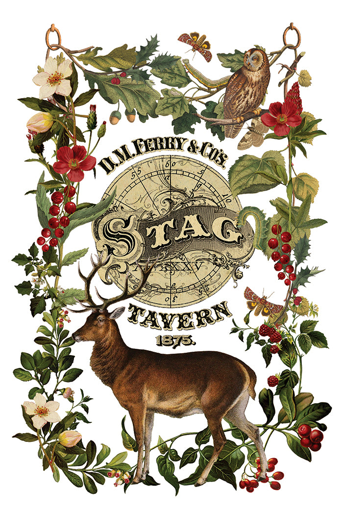 IOD Transfer - Stag Tavern