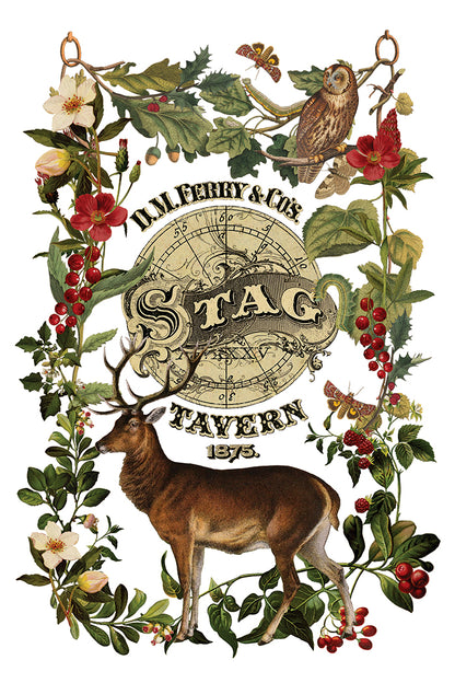 IOD Transfer - Stag Tavern