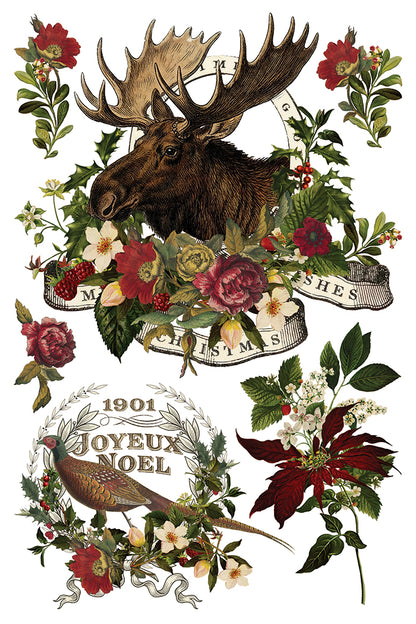 IOD Transfer - Stag Tavern