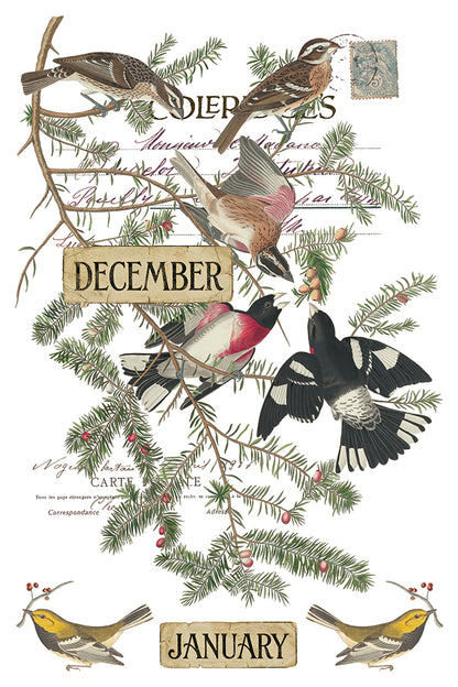 IOD Transfer - Winter's Calling
