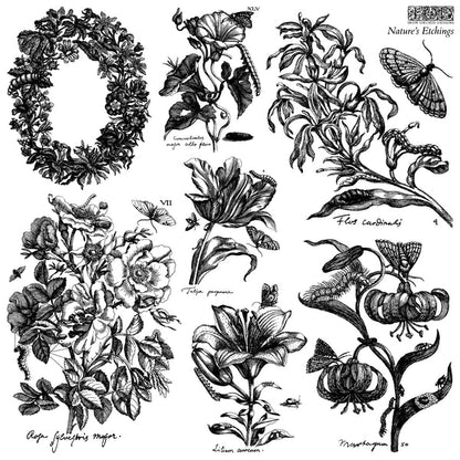 IOD Stamp - Nature's Etchings
