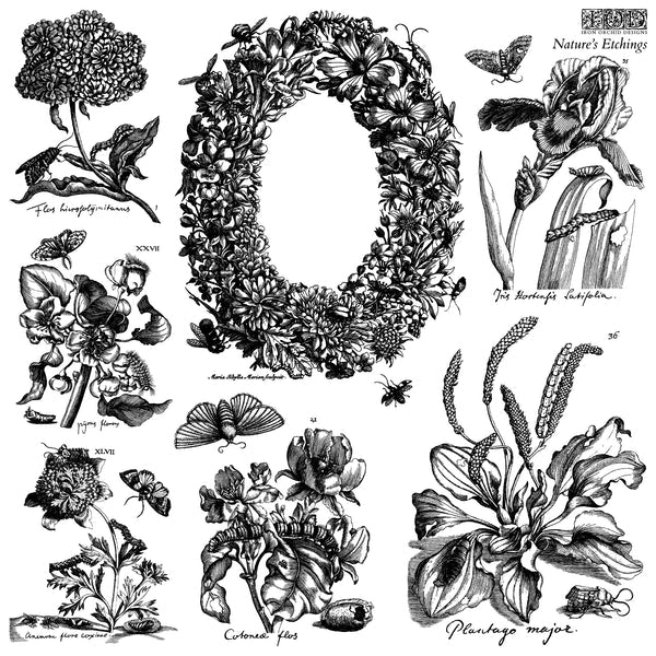 IOD Stamp - Nature's Etchings