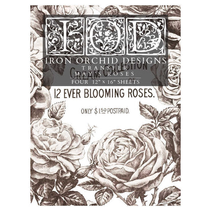 May's Roses
