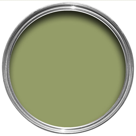 Olive No.13