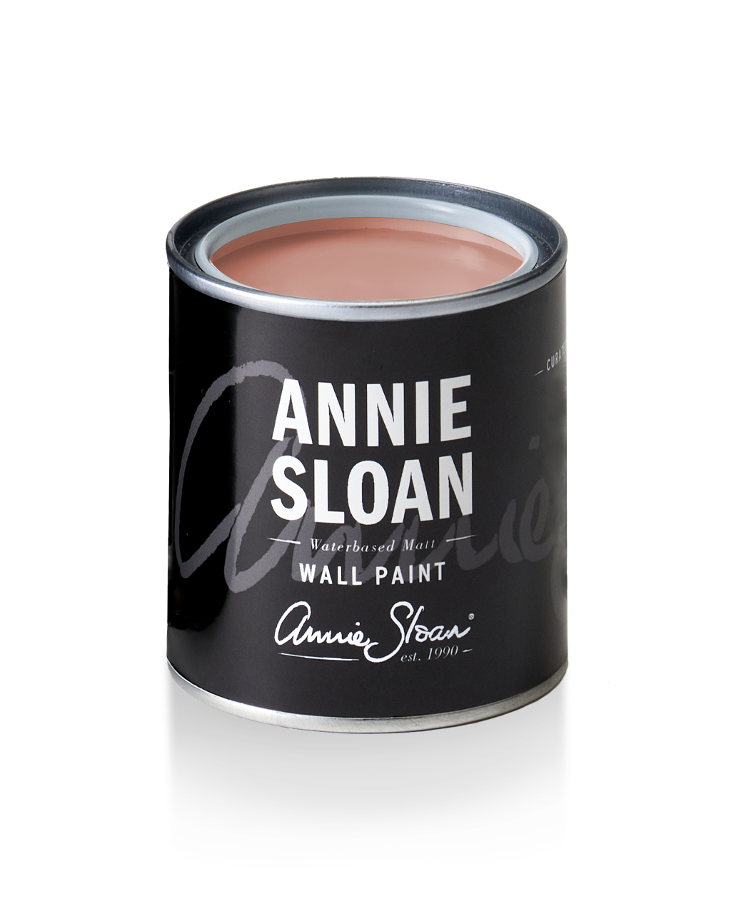 Wall Paint 120ml - Piranesi Pink