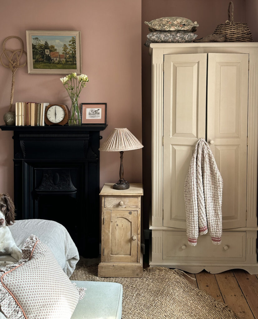 Wall Paint 120ml - Piranesi Pink