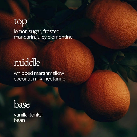 Soy Wax Candle | Marshmallow + Clementine