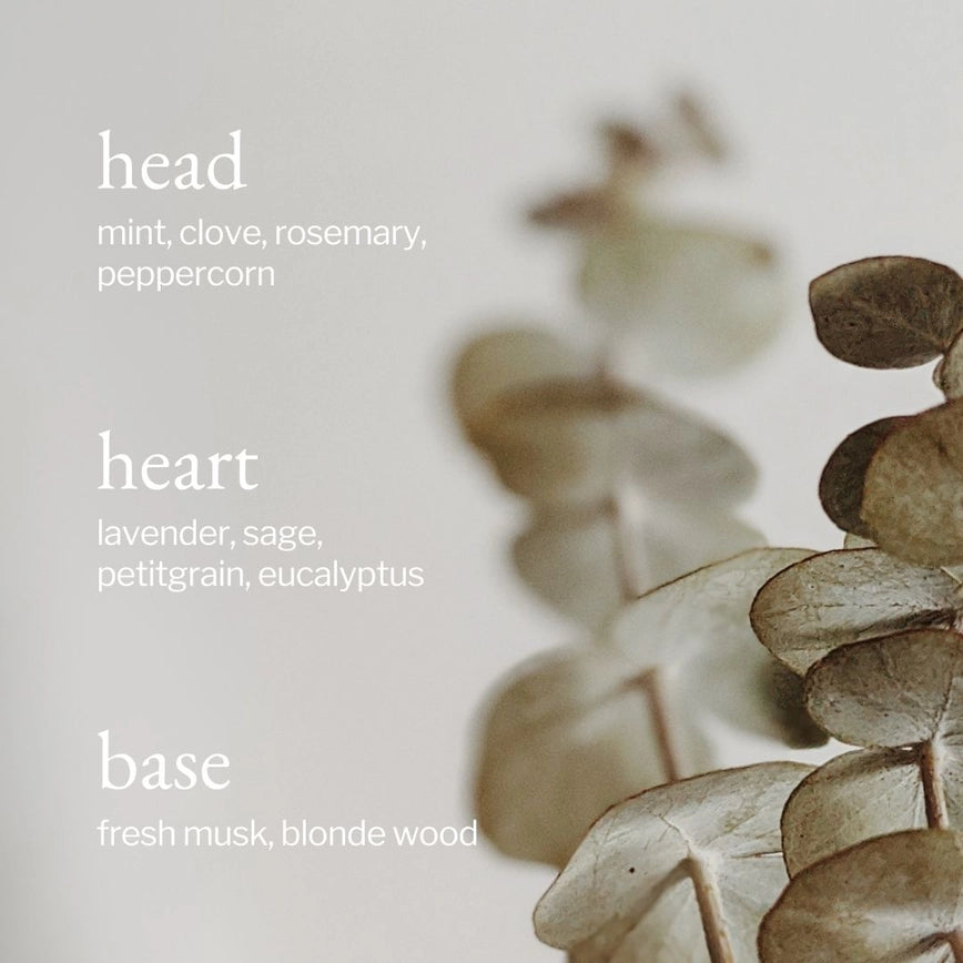 Soja&Co. Eucalyptus, Mint & Rosemary