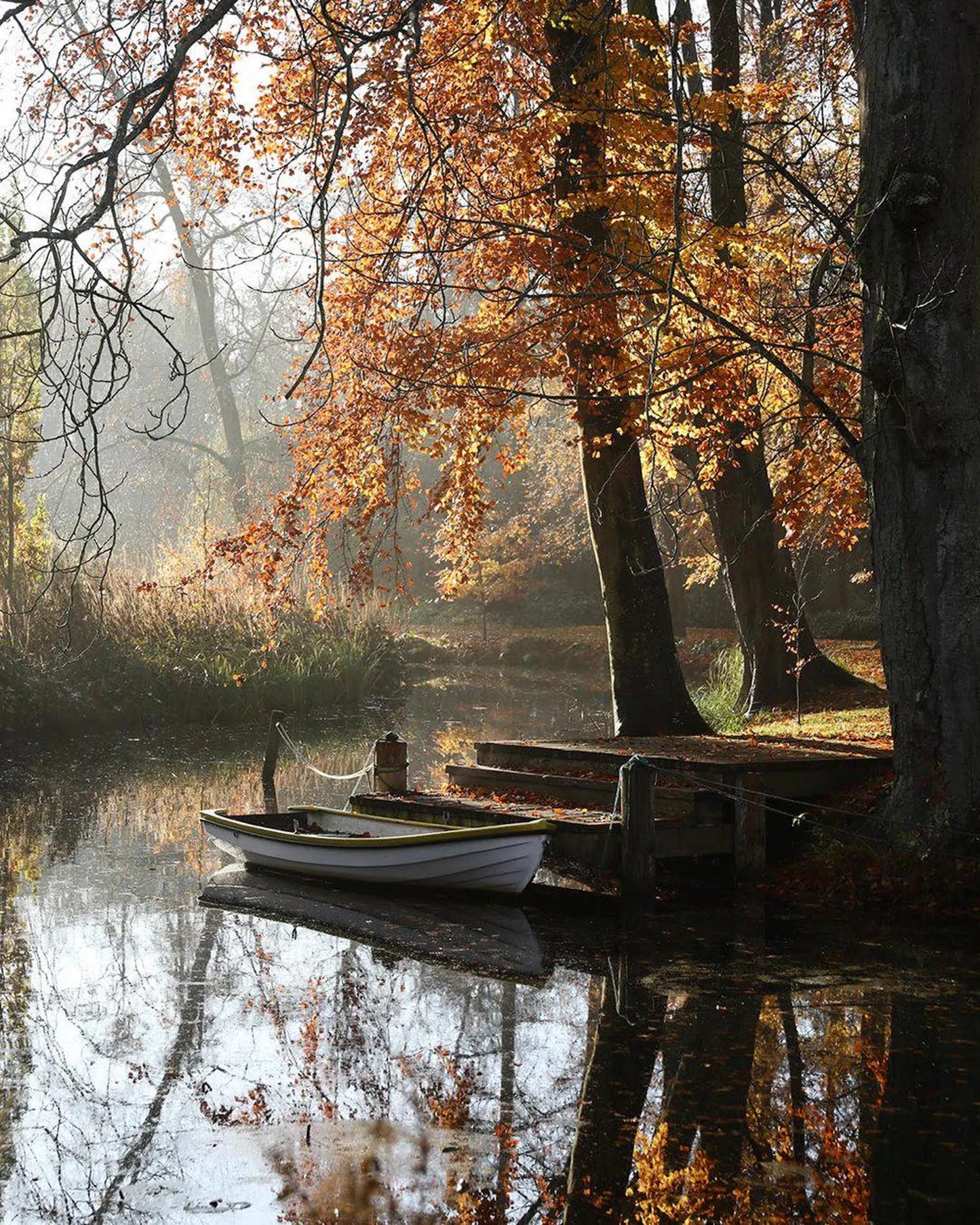 New! Jeanne d'Arc Living 'Small Detours Big Experiences