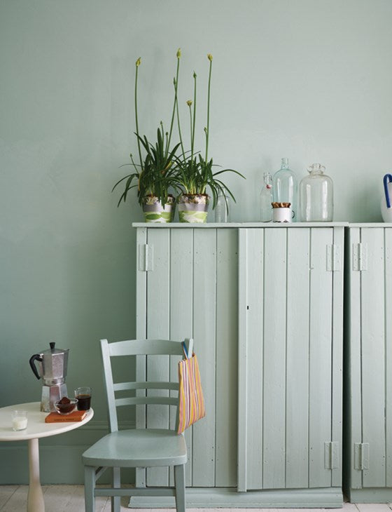 Farrow and Ball Paint- Teresa's Green No. 236