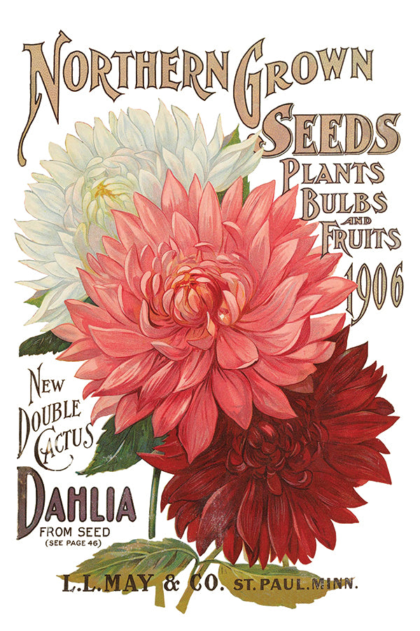 Decor Transfer - Seed Catalogue By IOD