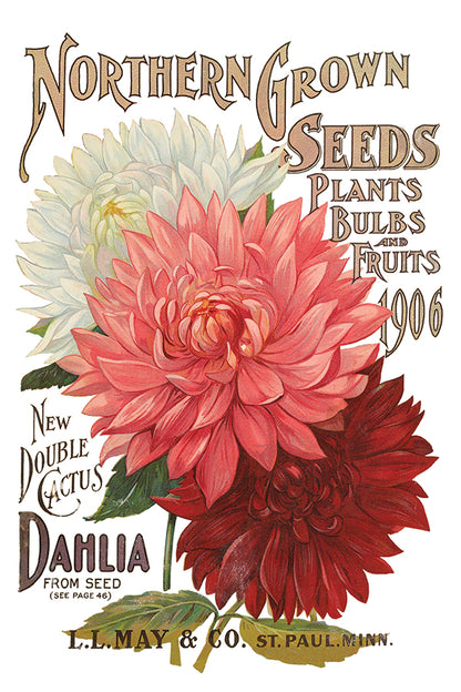 Decor Transfer - Seed Catalogue By IOD