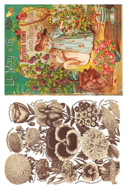 Decor Transfer - Seed Catalogue By IOD