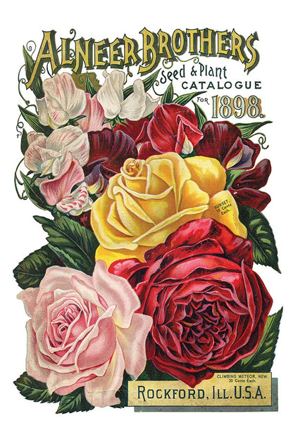 Iron Orchid Designs - *NEW* Seed Catalogue Transfer