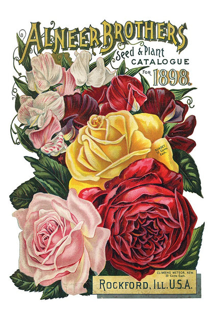 Decor Transfer - Seed Catalogue By IOD