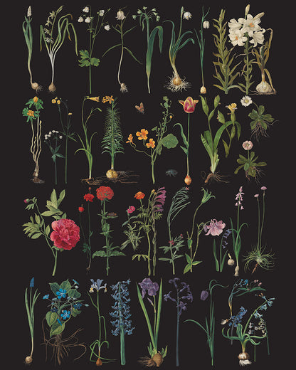 RHS DECOUPAGE PAPER FORMAL GARDEN
