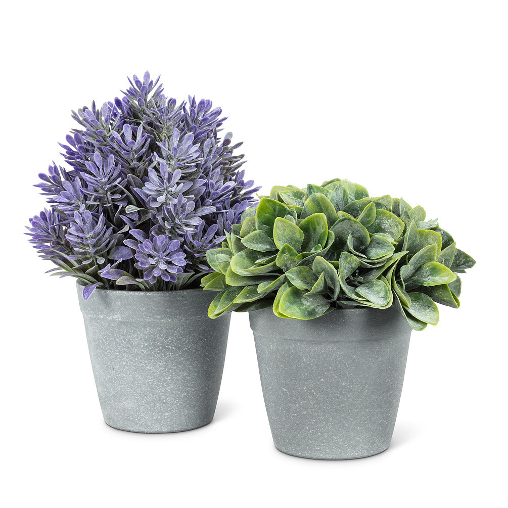 Spade Leaf Plant Pot