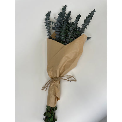 DRIED BUNDLE, 8 oz PRESERVED BABY EUCALYPTUS BUNDLE