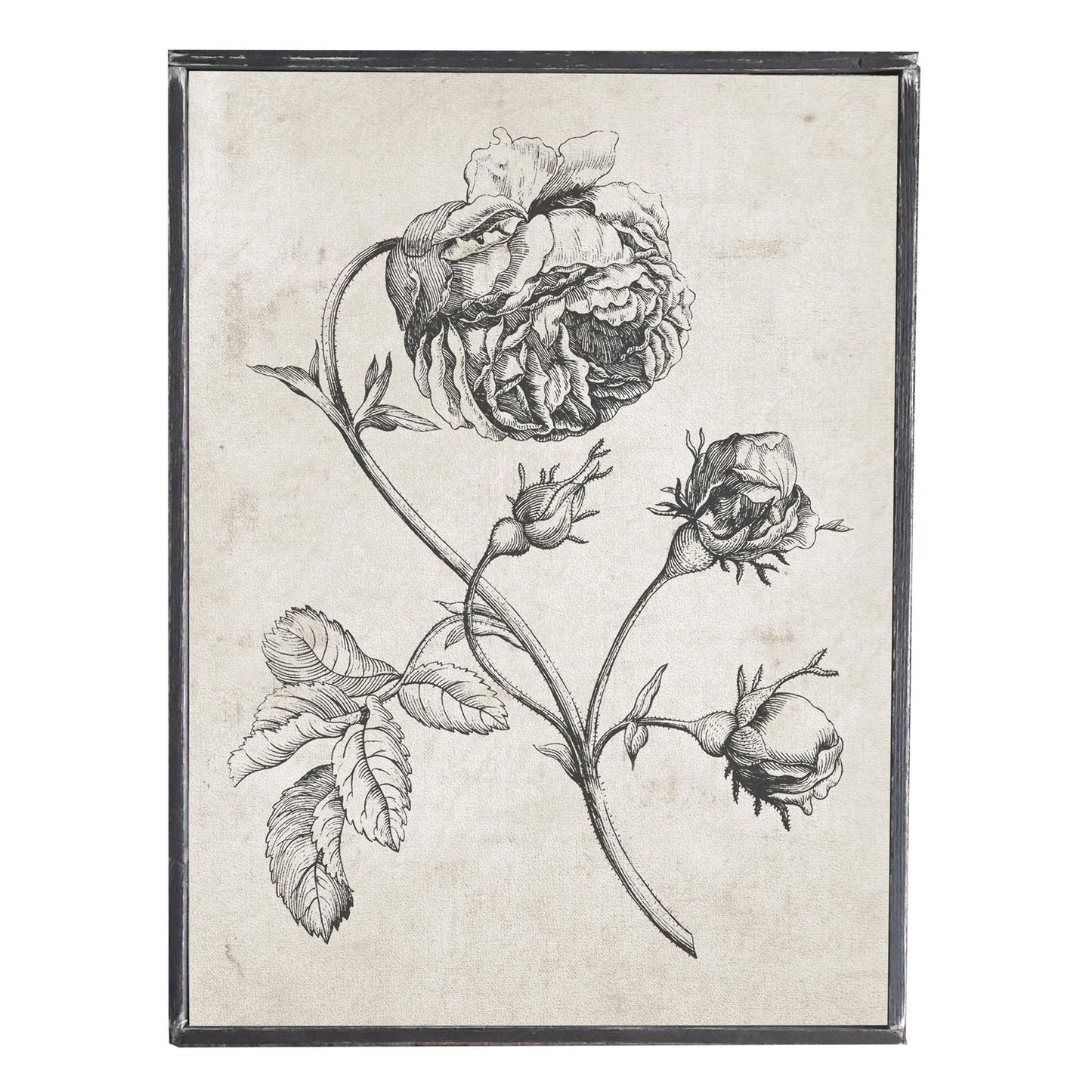 Vintage Black and White Print, Flower 3, Wall Decor