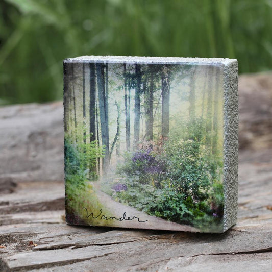 ART BLOCK BY CEDAR MOUNTAIN, WANDER