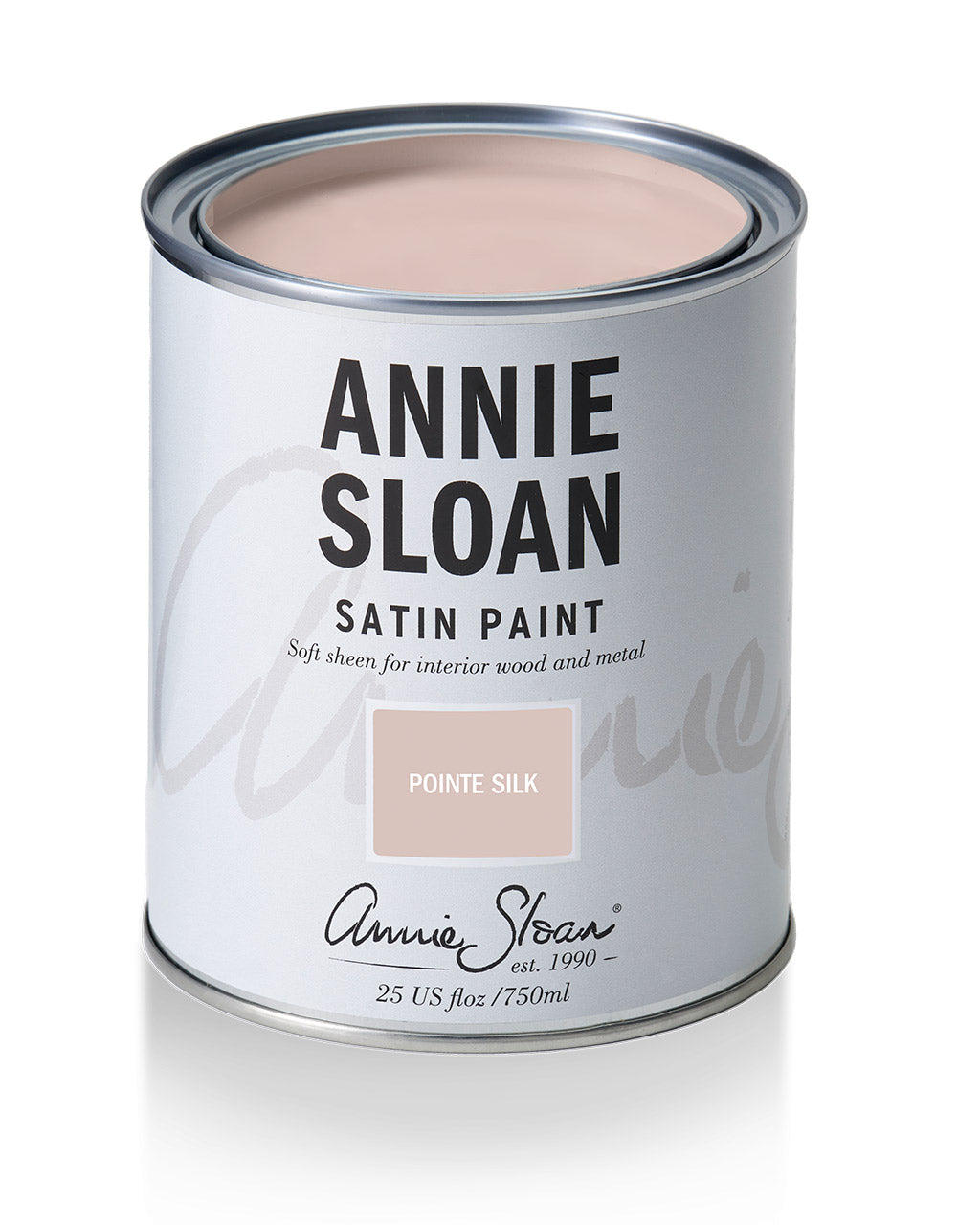 Satin Paint Interior Wood & Metal, POINTE SILK