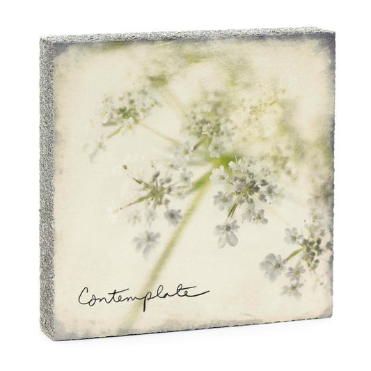 ART BLOCK BY CEDAR MOUNTAIN, CONTEMPLATE